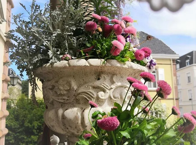 Affittacamere Castelnau