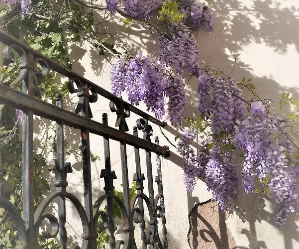 Castelnau Guest house Colmar